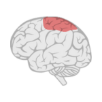 Cerebral Palsy