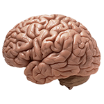 Parkinson's