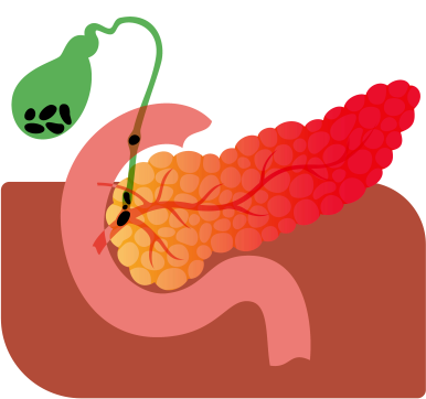 gallbladder