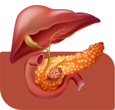 gallbladder
