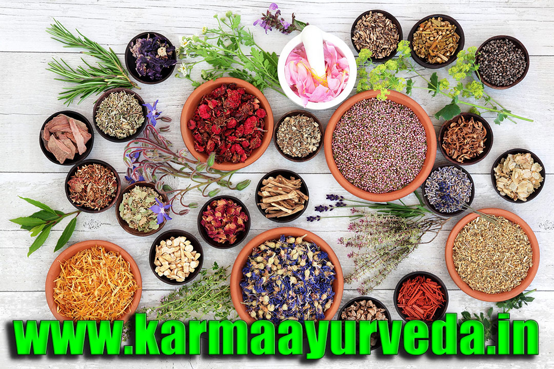 Kidney Cleansing Ayurvedic Medicine For Kidney Cleansing Karma