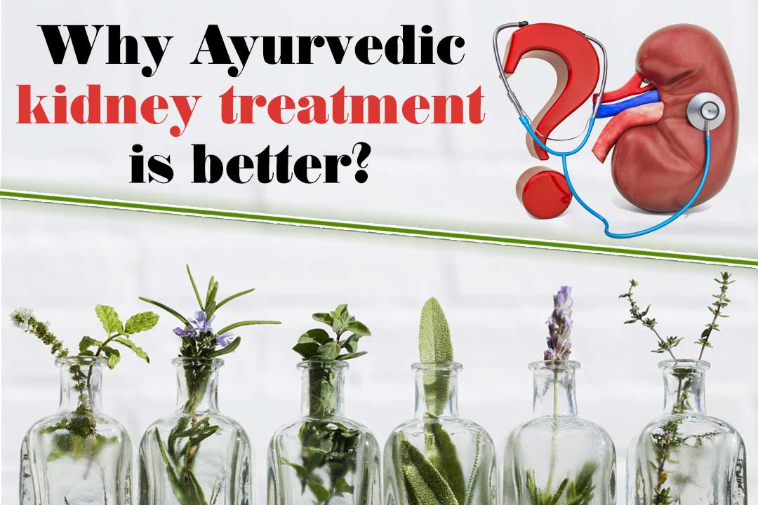 Best Ayurvedic kidney treatment Kidney Treatment in Ayurveda Kidney