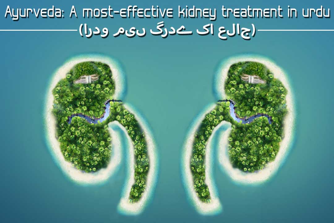 Ayurveda: A most-effective kidney treatment in urdu