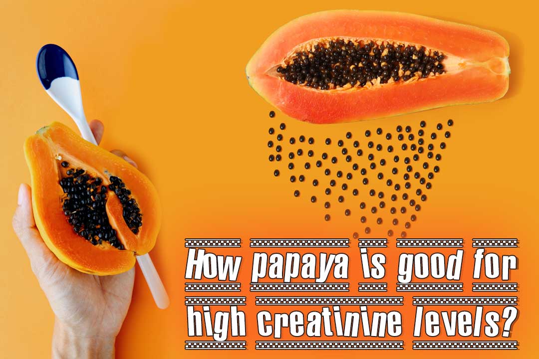 How papaya is good for high creatinine levels?