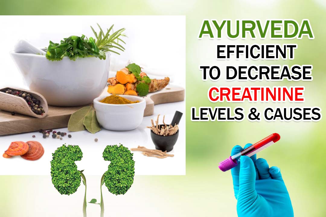 Ayurveda Efficient to Decrease Creatinine levels & Causes