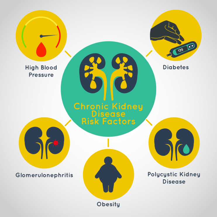 Chronic Renal Disease Stages & Treatment in Ayurveda