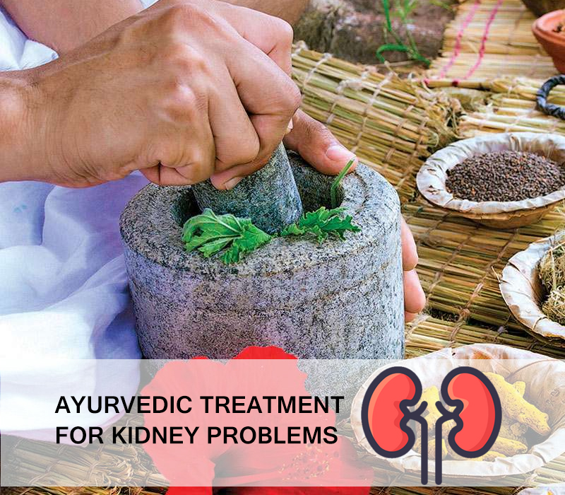 Kidney Problems Treatment Ayurvedic