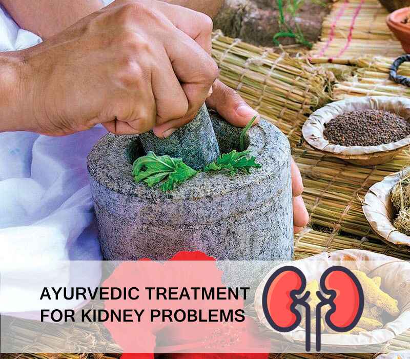 kidney problem treatment in ayurveda the best way to eradicate kidney complications