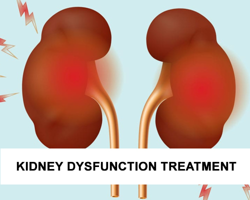 Kidney Dysfunction Treatment in Ayurveda