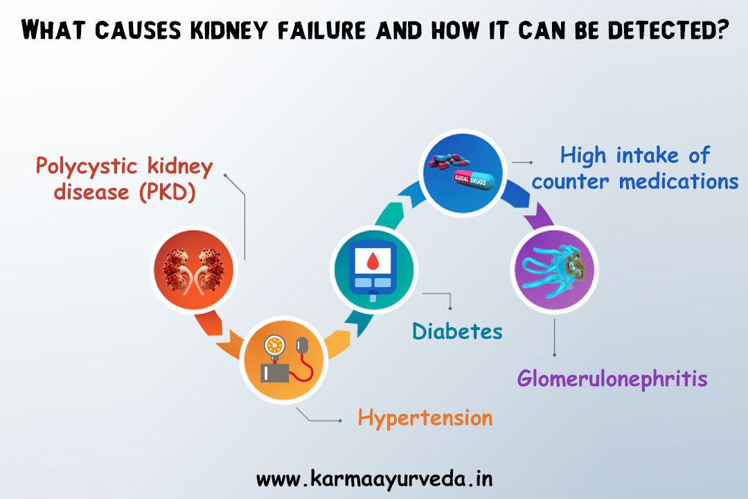 Best Kidney Failure Ayurvedic Treatment