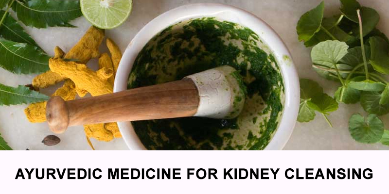 Ayurvedic Medicine For Kidney Cleansing