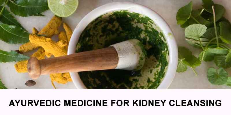 Have You Tried This Ayurvedic Medicine for Kidney Cleansing Yet?