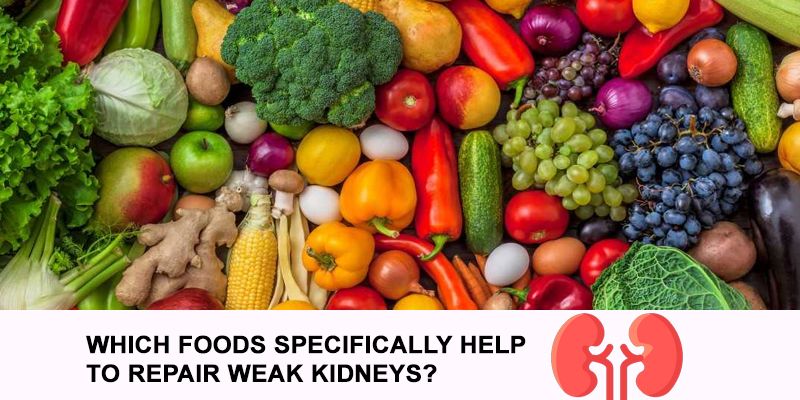Which Foods Specifically Help to Repair Weak Kidneys