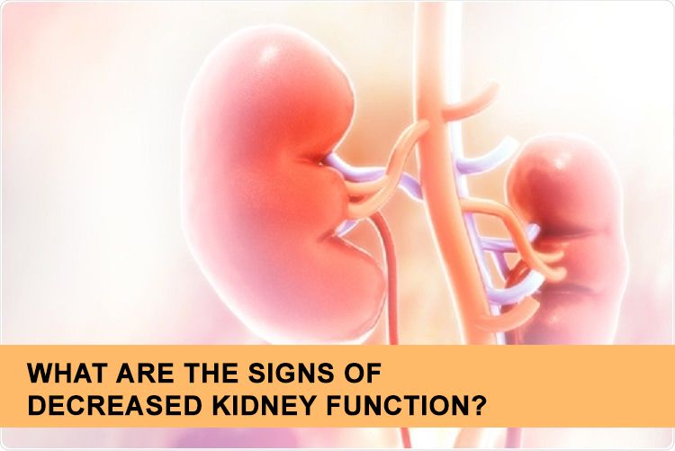 What are the Signs of Decreased Kidney Function?