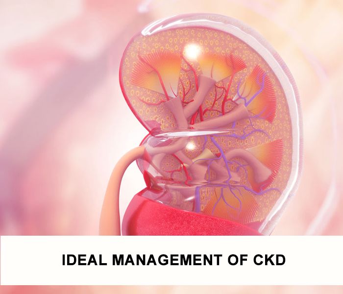 Ideal Management of CKD