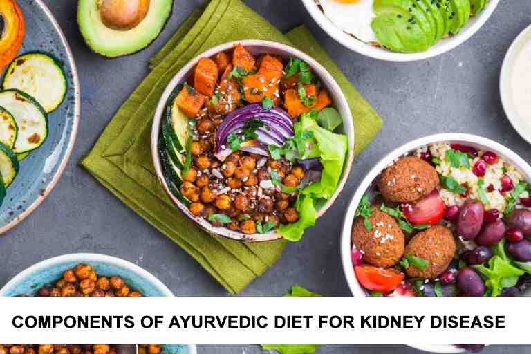 Components of Ayurvedic Diet for Kidney Disease