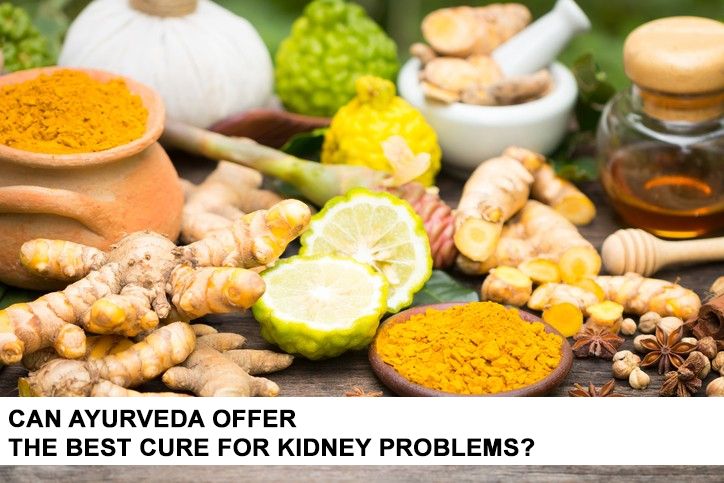 Can Ayurveda Offer the Best Cure for Kidney Problems?