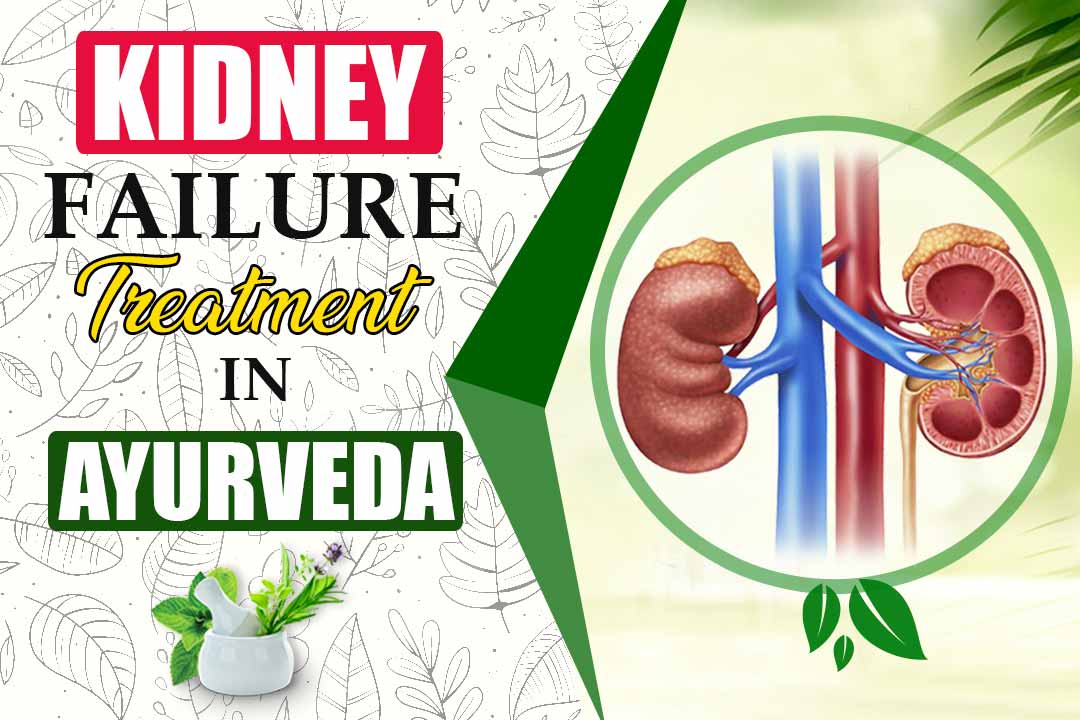Kidney Failure Treatment in Ayurveda
