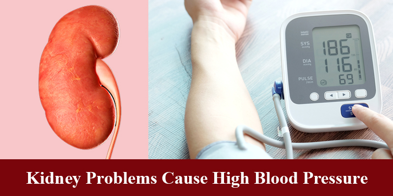 Kidney Problems Can Cause High Blood Pressure
