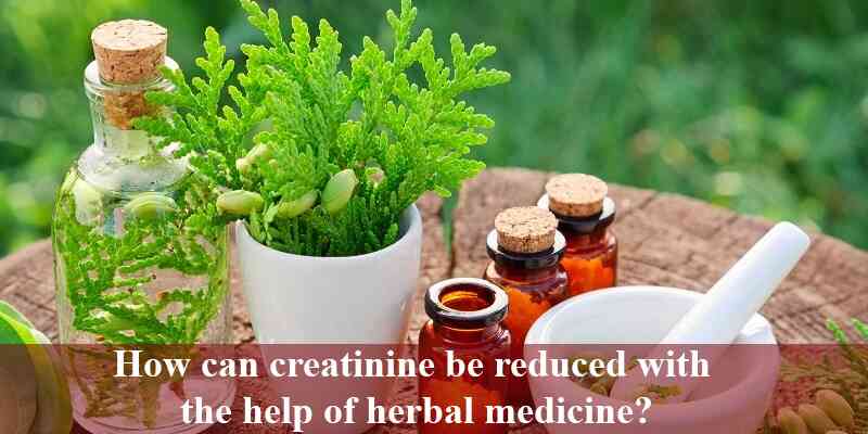 Best Ayurvedic Medicine To Lower Creatinine