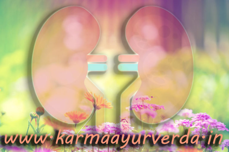 Avoid Dialysis Cure Kidney Disease By Ayurveda