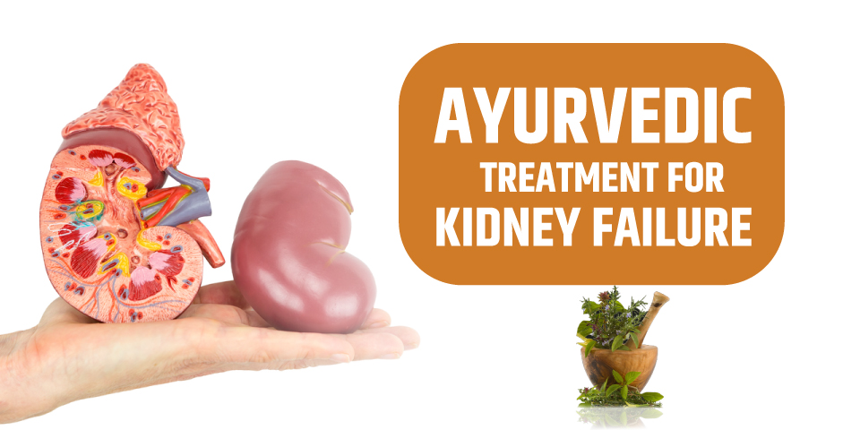 What Is Kidney Failure? Causes, Symptoms, Diet And Ayurvedic Treatment