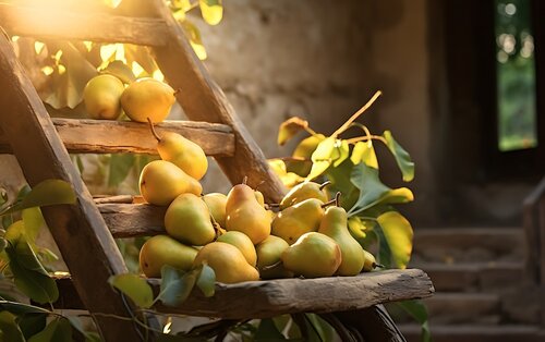Pears is in list of fruits to reduce creatinine level
