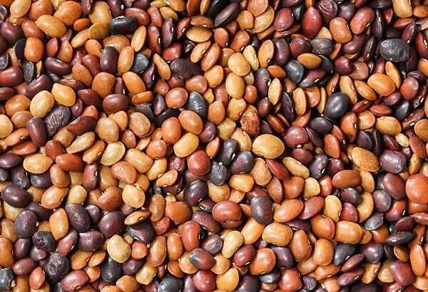 Horse Gram for kidney stones