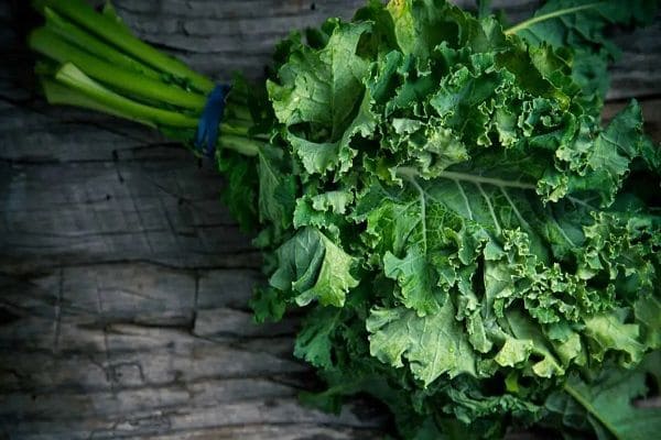 Kale - Best Vegetable for Kidney Disease