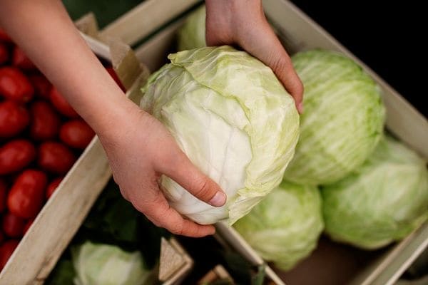 Cabbage - Best Vegetable for Kidney Disease