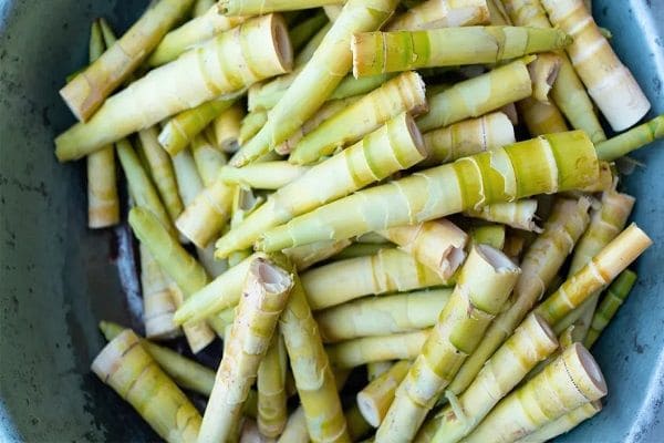 Bamboo Shoot - Best Vegetable for Kidney Disease