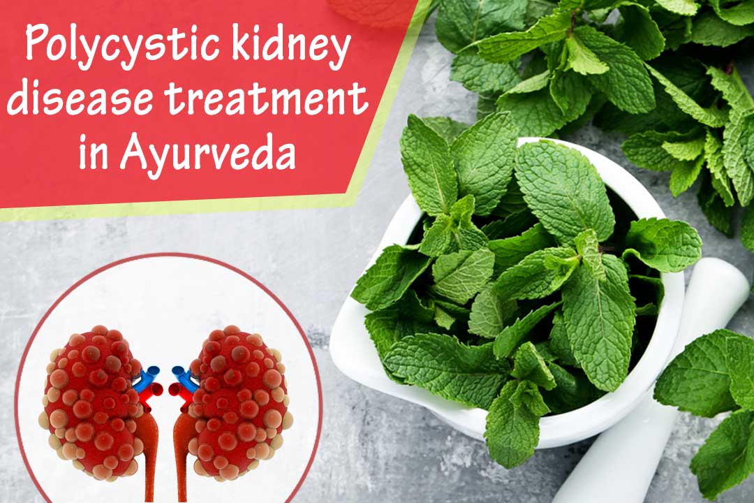 ayurvedic polycystic kidney disease treatment
