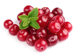 Cranberries for kidney problem.jpg