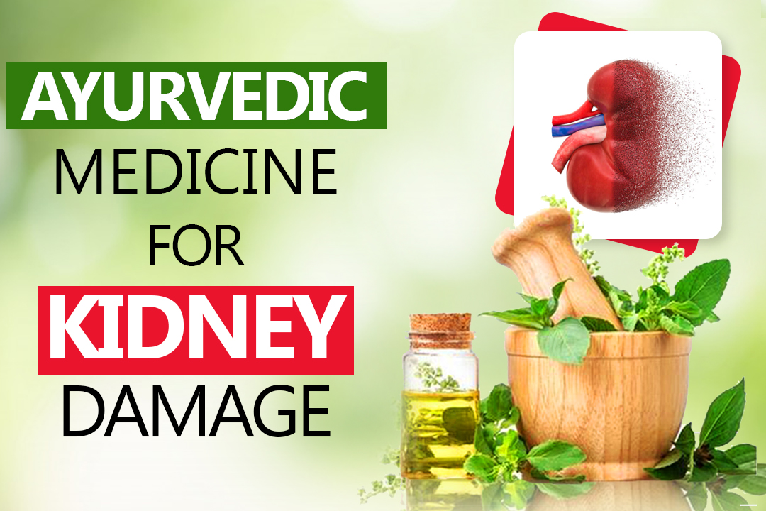 Natural Ayurvedic Medicine For Kidney Damage Treatment
