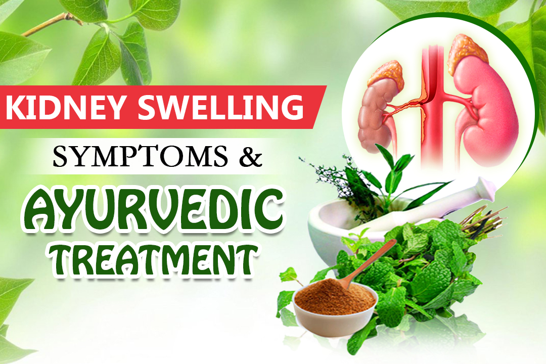Symptoms And Ayurvedic Treatment For Kidney Swelling