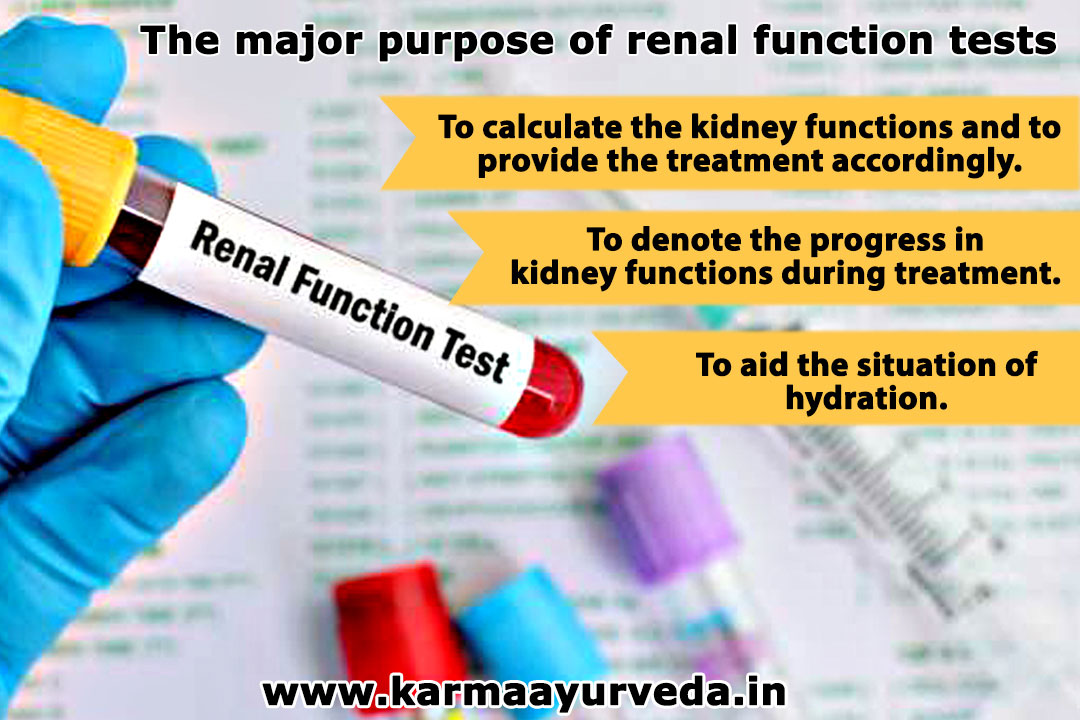 Renal Function Test: Why There Is A Need For Them!