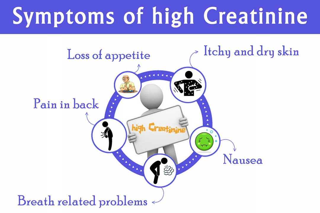 Ayurvedic doctor for creatinine treatment in Himachal Pradesh