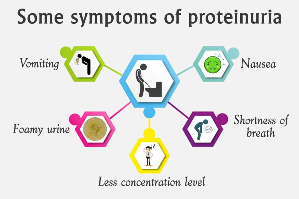 Ayurvedic medicine for proteinuria treatment in Himachal Pradesh