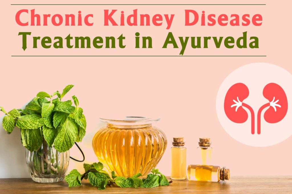 Best Chronic Kidney Disease Treatment in Ayurveda