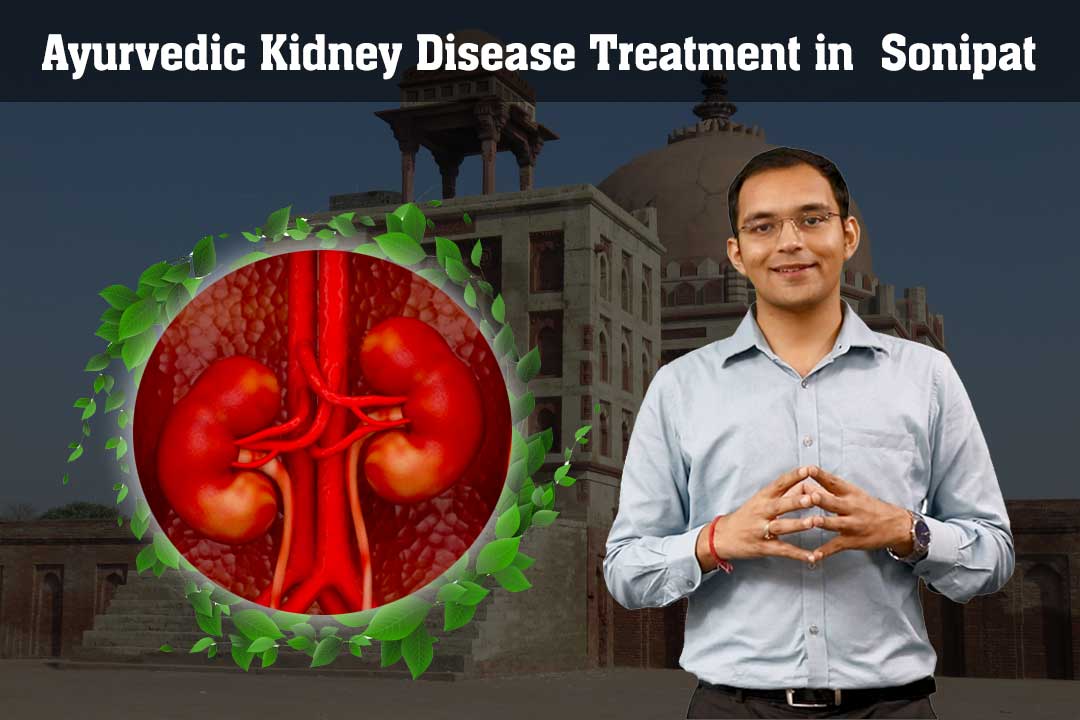 The Best Ayurvedic Kidney Disease Treatment Clinic in Sonipat