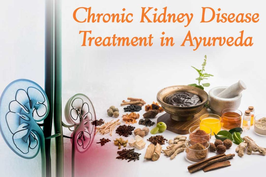 Best Chronic Kidney Disease Treatment in Ayurveda