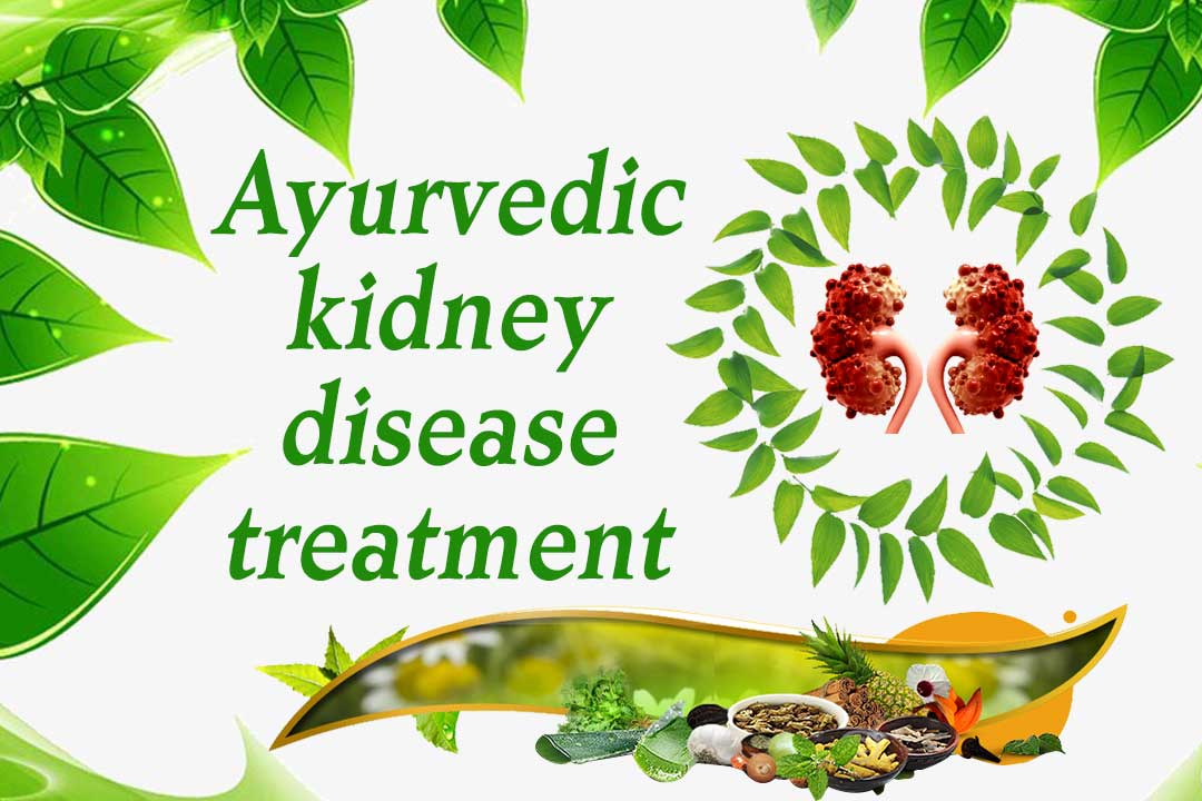 Kidney Treatment in Manipur