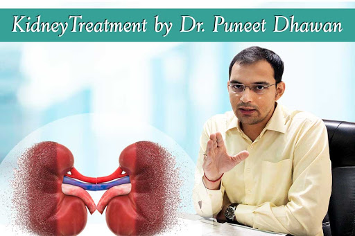 kidney tratment by puneet