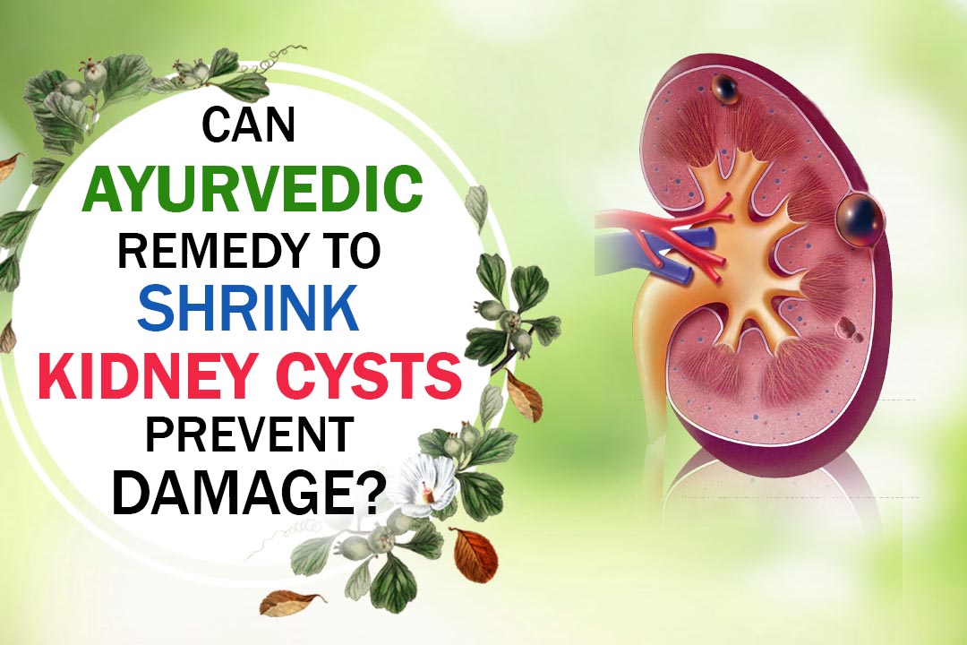 Ayurvedic remedy to shrink kidney cyst