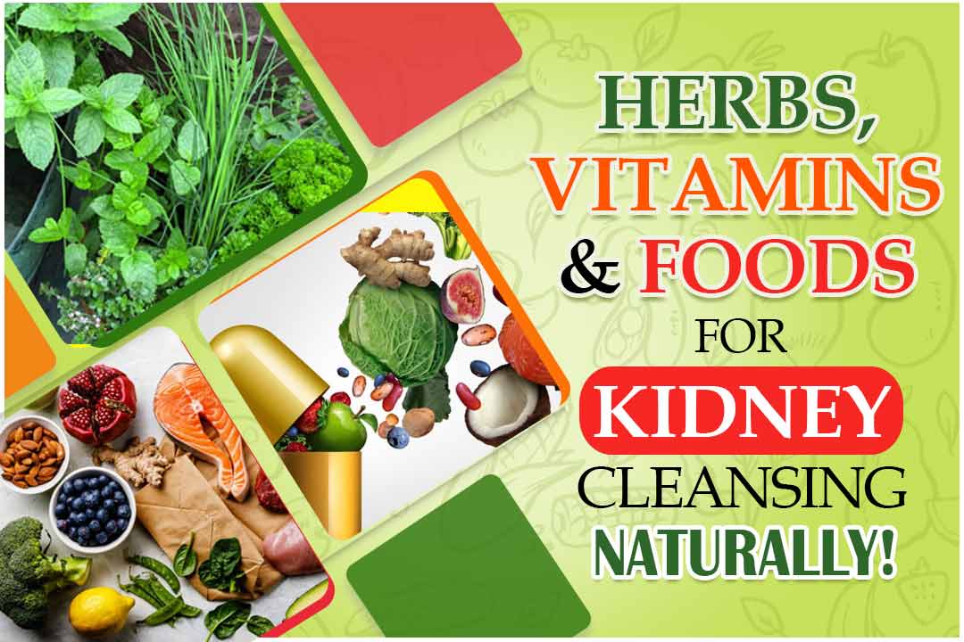 Herbs Vitamins & Foods for kidney cleansing naturally!
