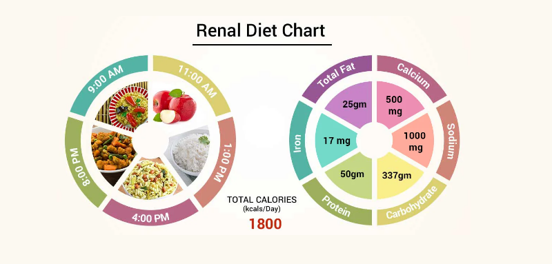 Diet Chart for kidney patients who have Proteinuria