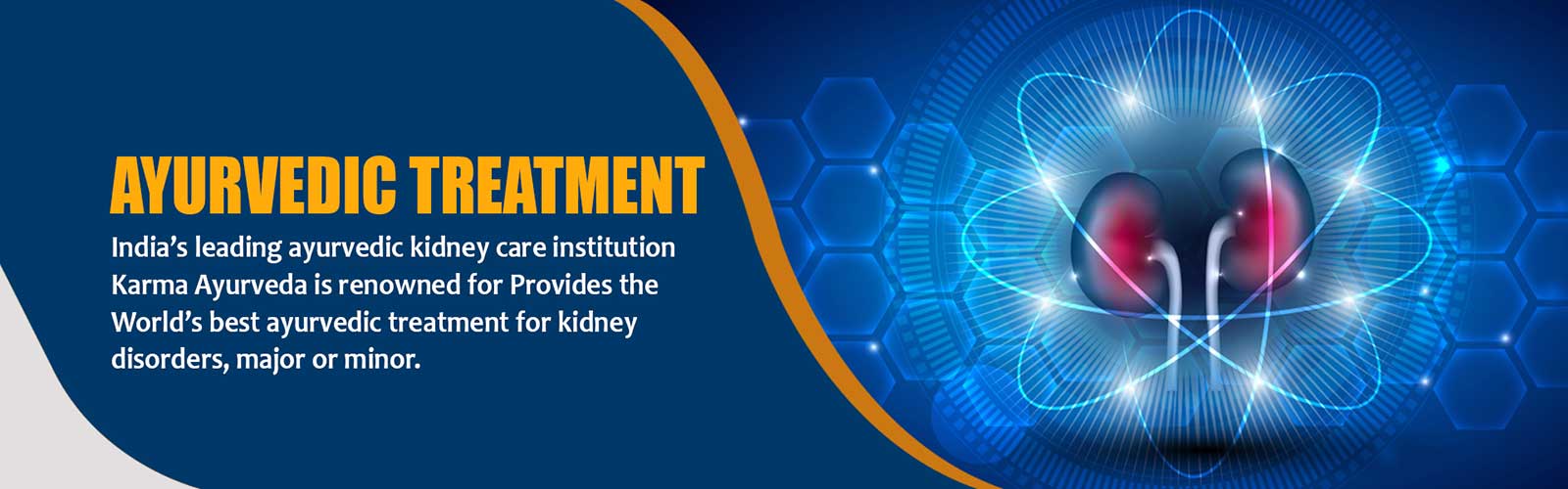 Karma Ayurveda Best Ayurvedic kidney treatment Hospital‎ in Delhi