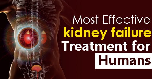 most effective kidney failure treatment for humans