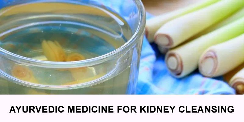 ayurvedic medicine for kidney