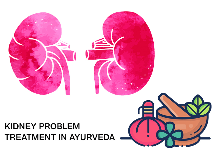 Kidney-problem-treatment-in-Ayurveda